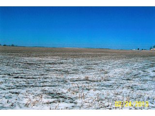 Property photo 4 - 100 +/- Acres - Productive Tillable Farmland, Elijah Trust